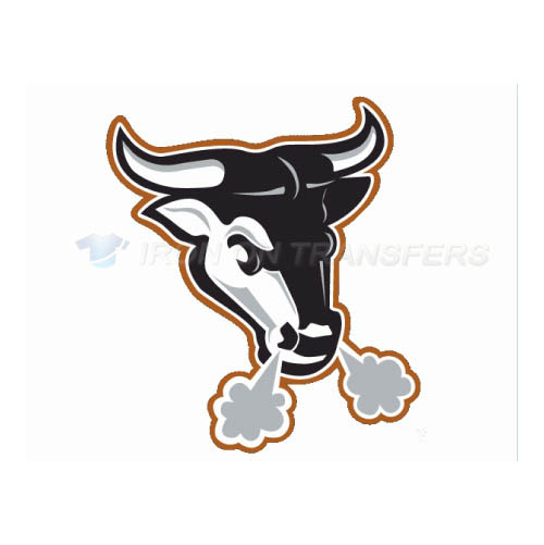 Durham Bulls Iron-on Stickers (Heat Transfers)NO.7965